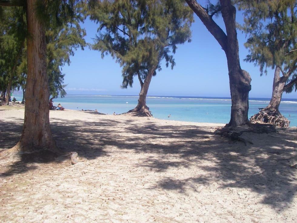 Le Saint Geran - A 3Mn A Pied De La Plage Et De Tous Commerces ラ・サリーヌ・レ・バン エクステリア 写真